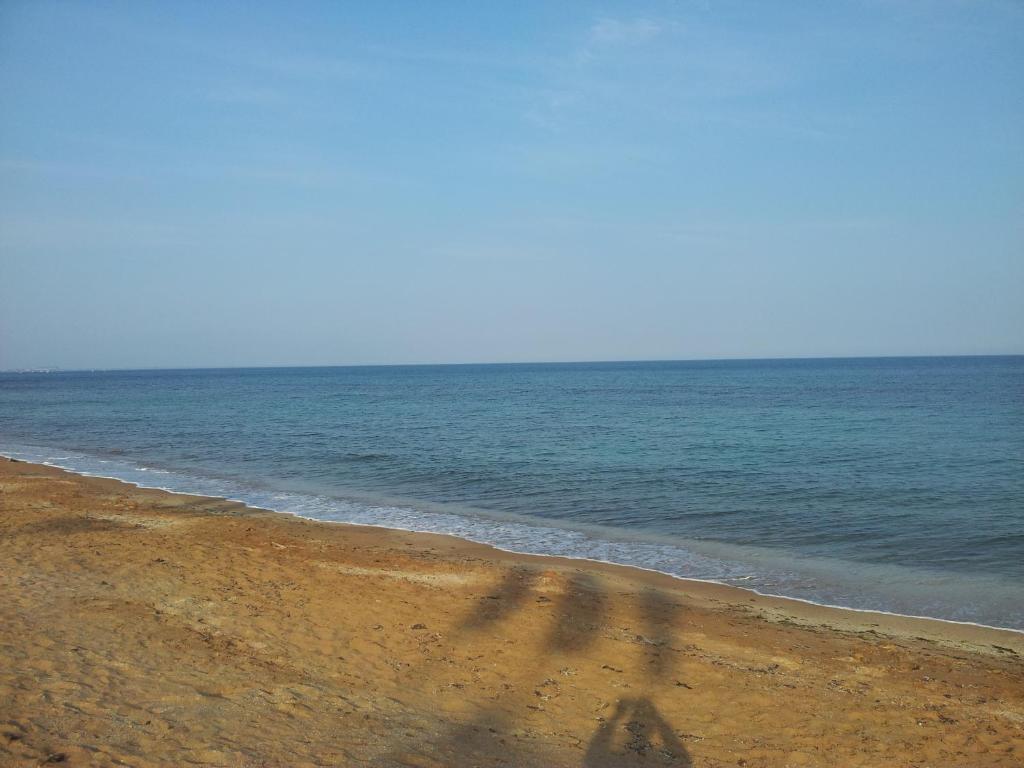 photo1