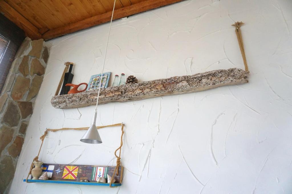 photo6