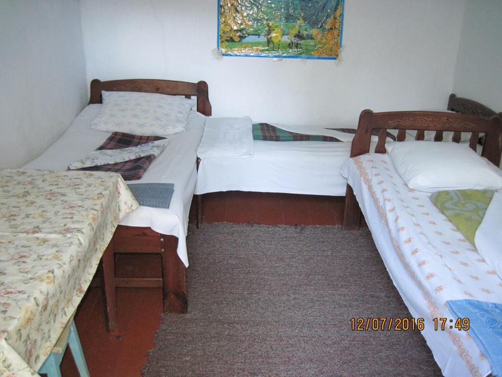 photo1