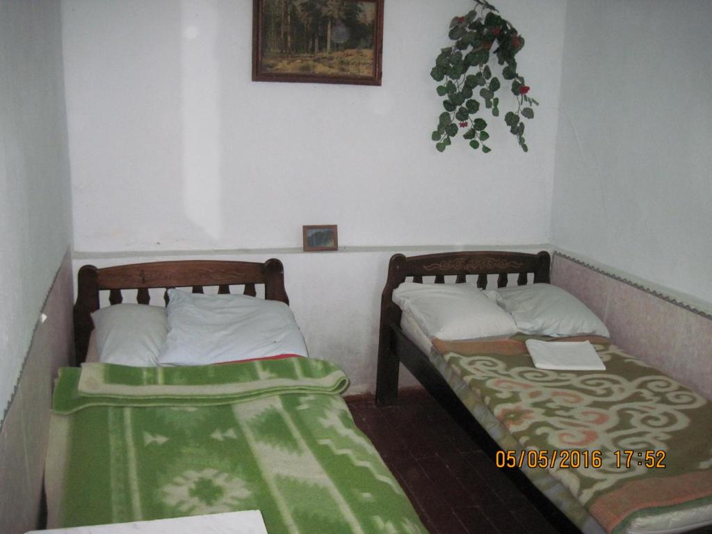 photo5