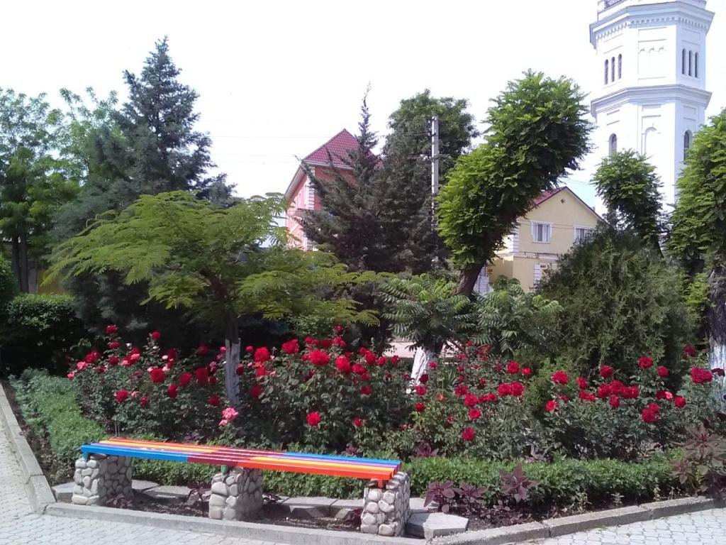 photo3