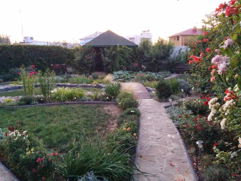 photo1