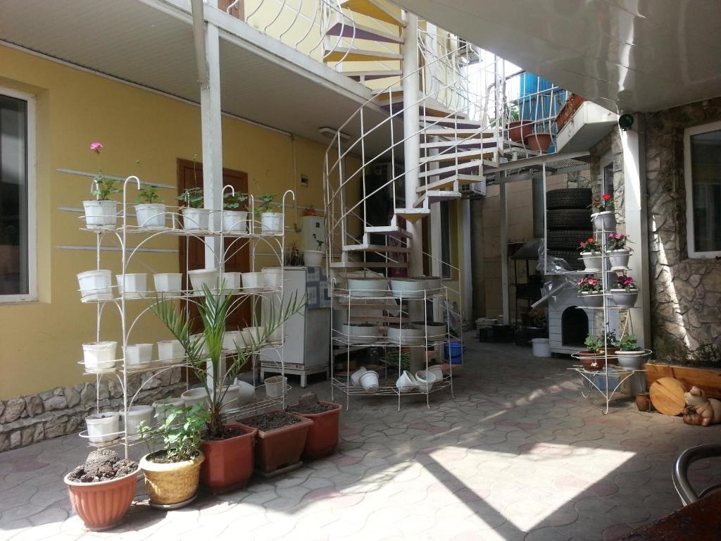photo1