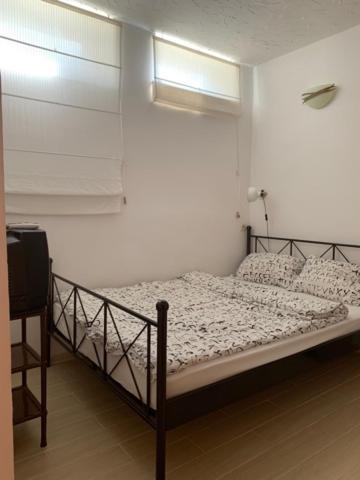 photo1