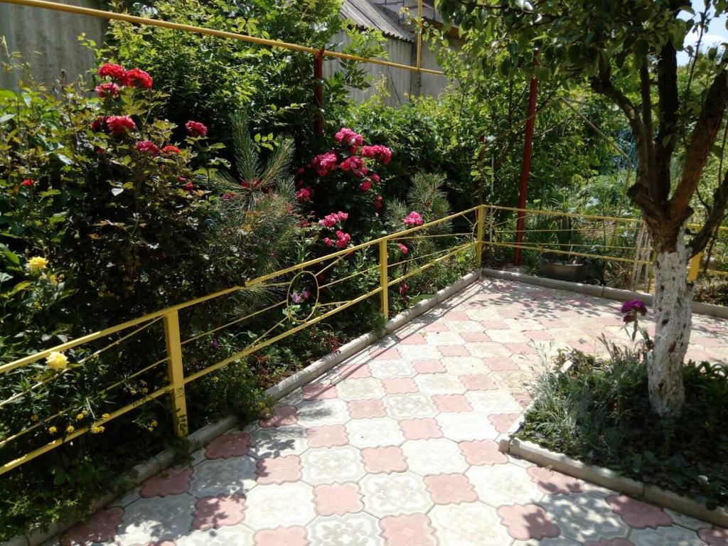 photo2