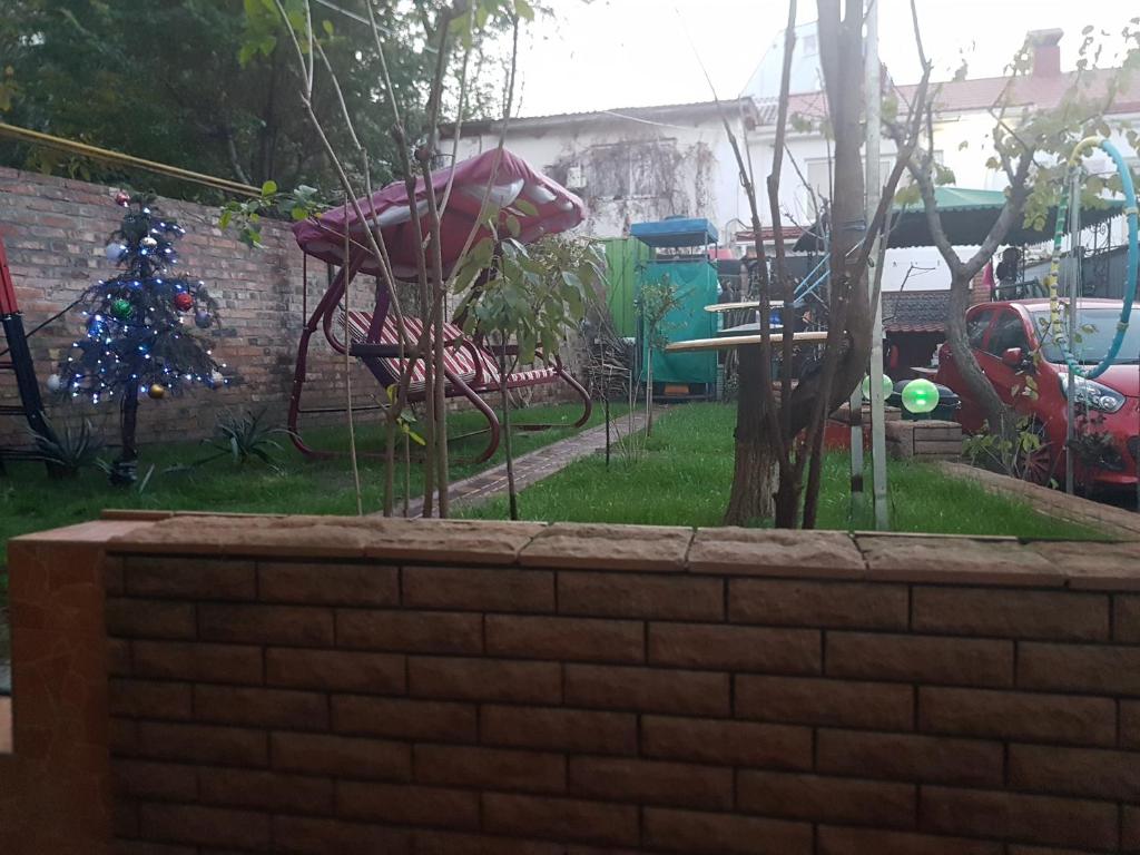 photo5