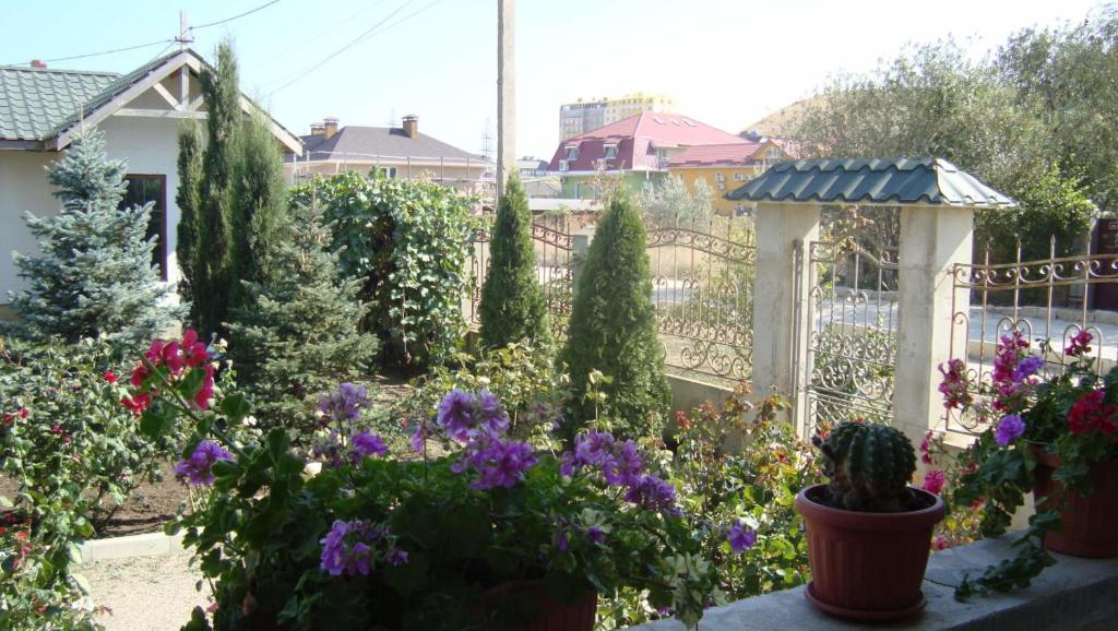 photo1
