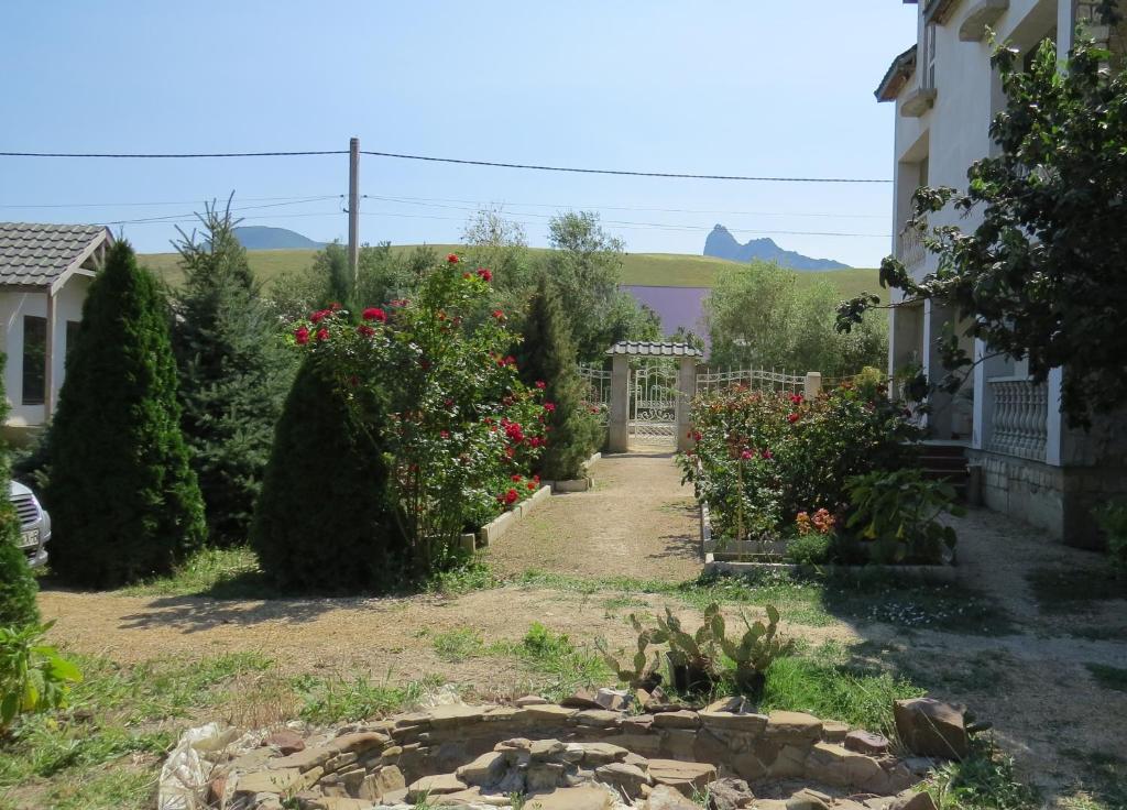 photo3