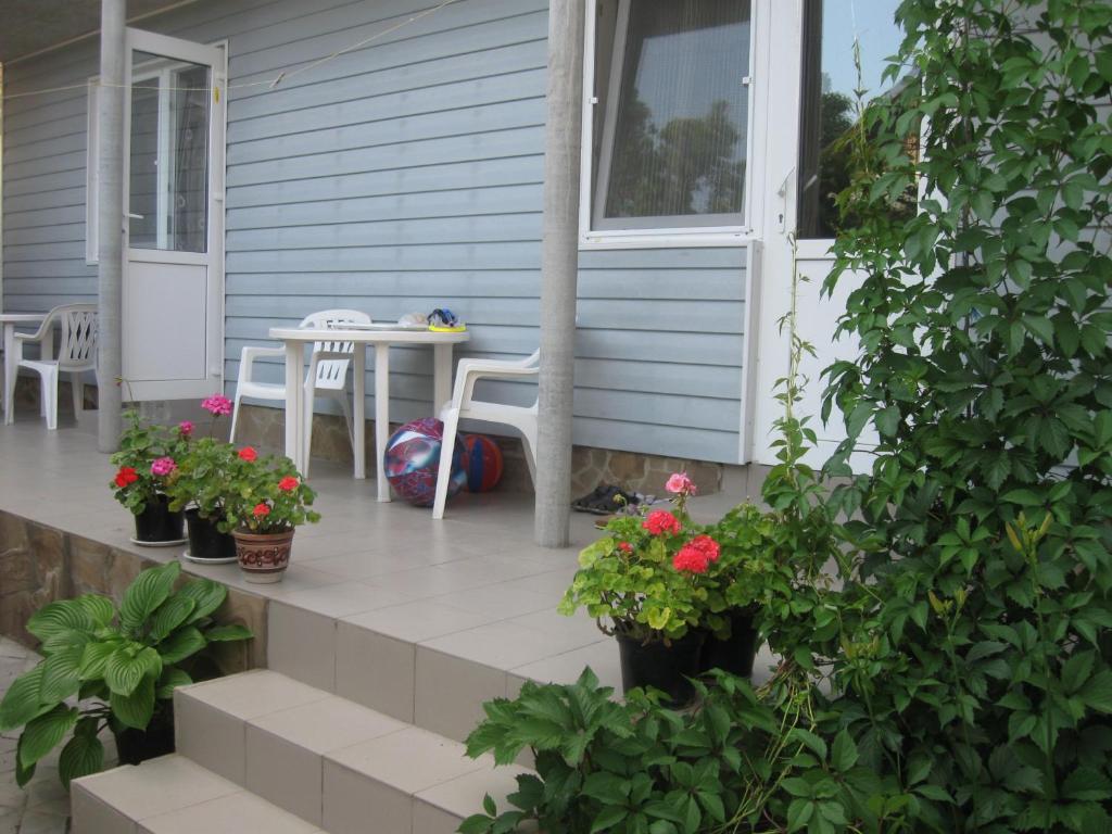photo1