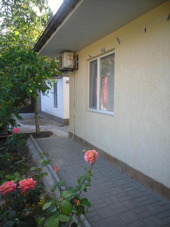photo1