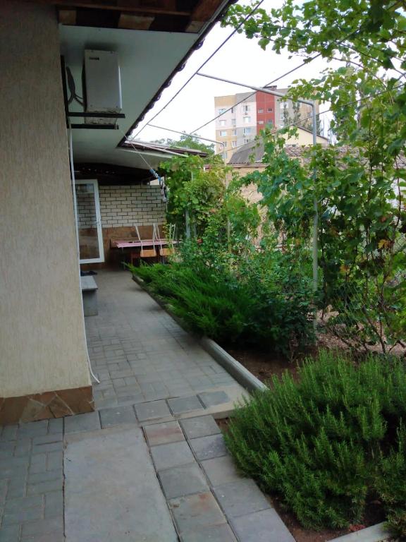 photo3