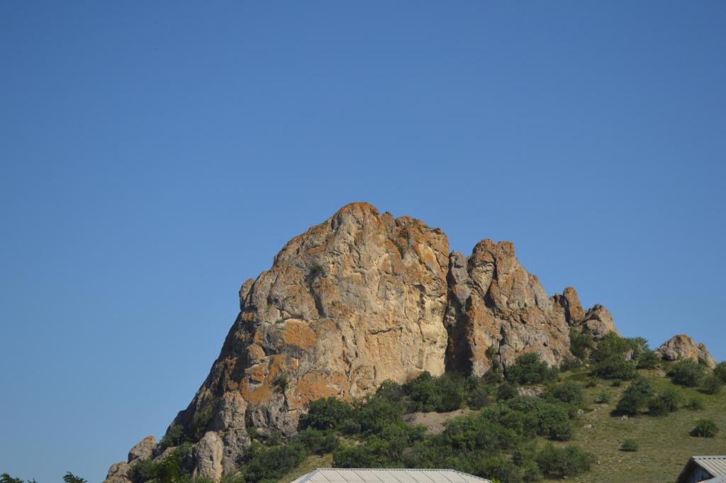photo6
