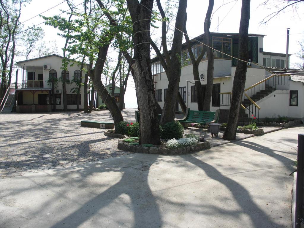photo3