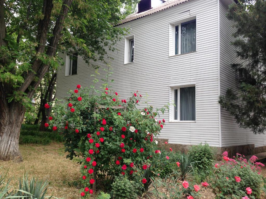 photo6