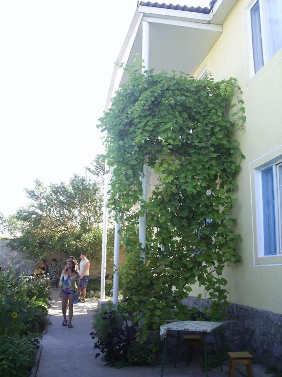photo5