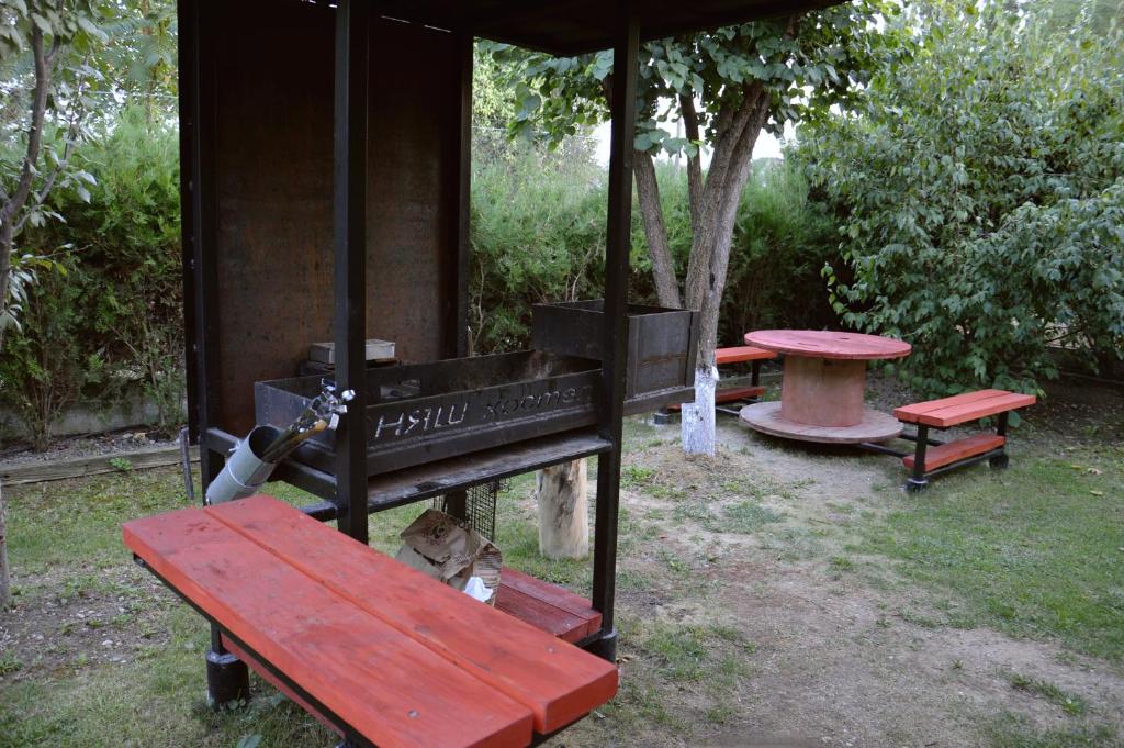 photo2