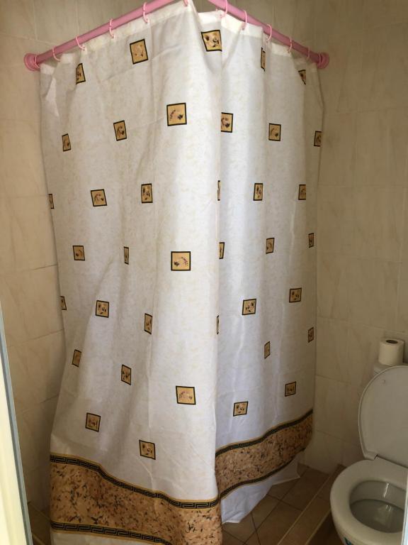 photo2