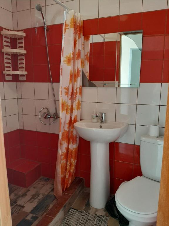 photo6