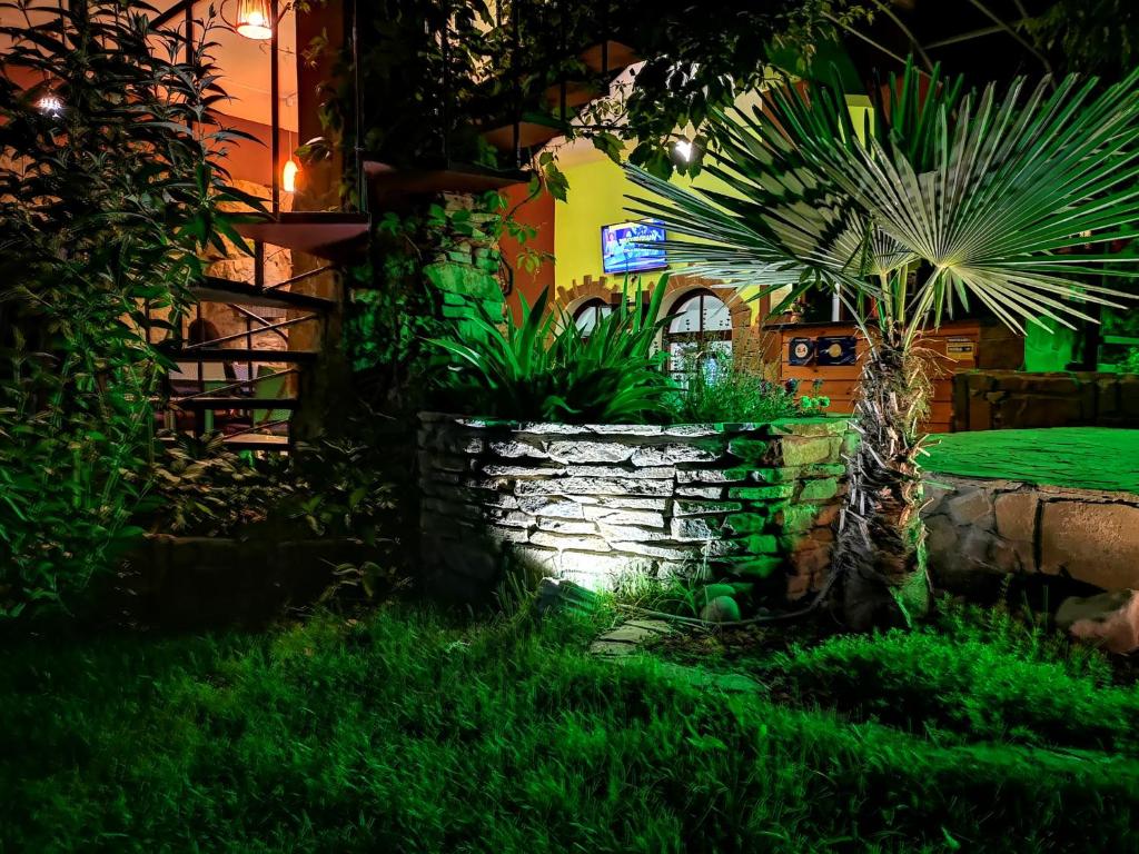 photo6