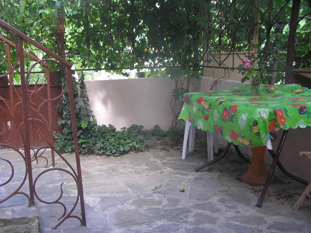 photo6