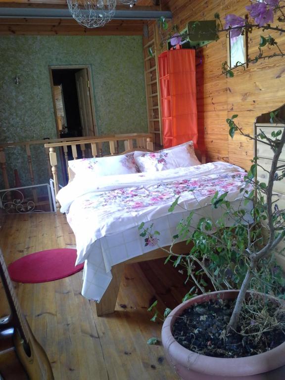 photo1
