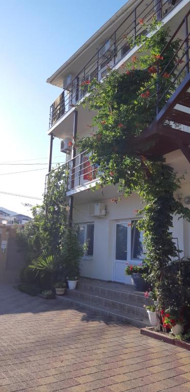 photo6