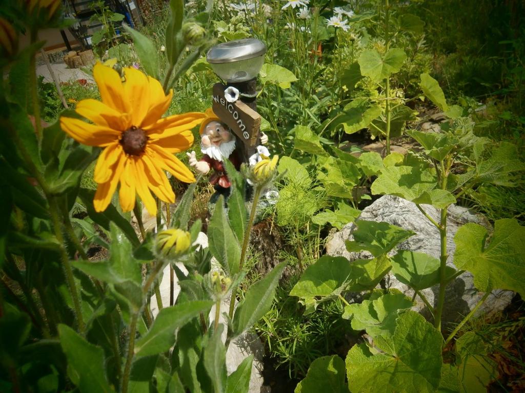 photo1
