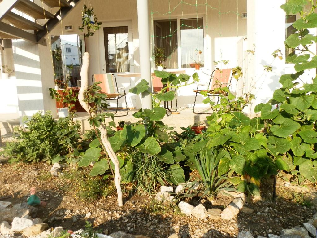 photo2