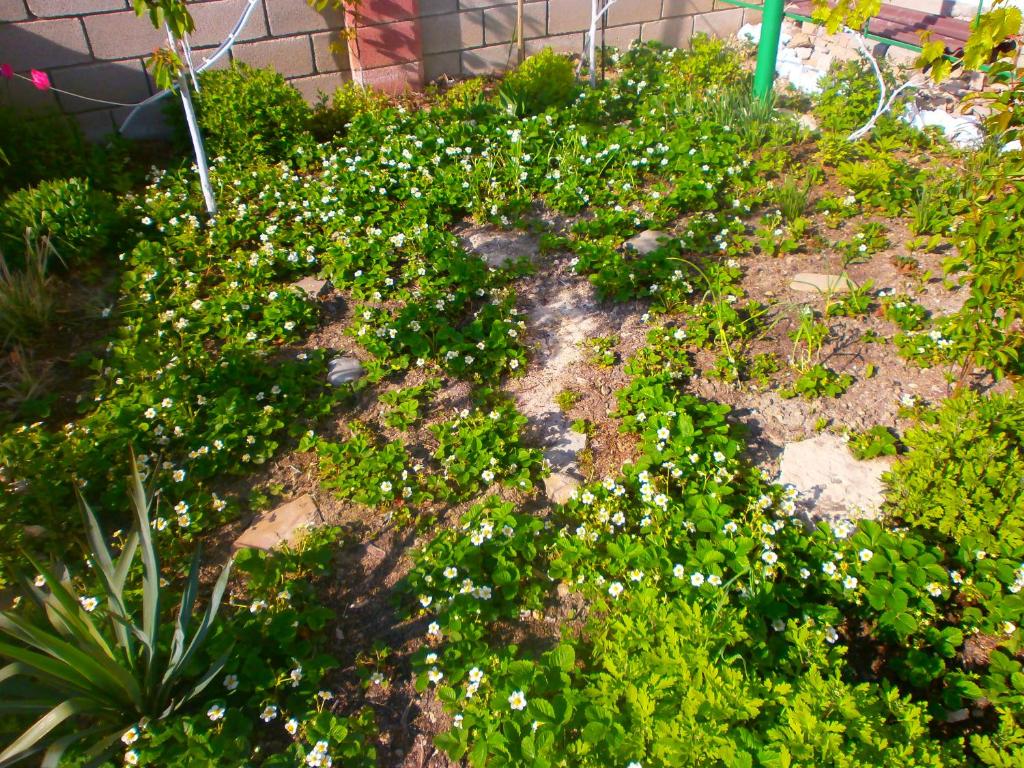 photo3