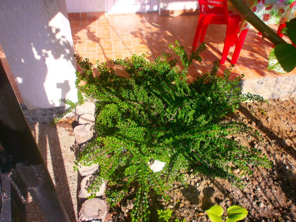 photo5