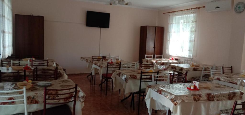 photo1