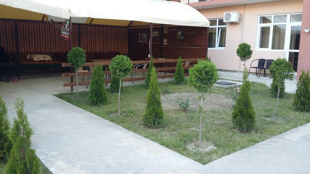 photo5