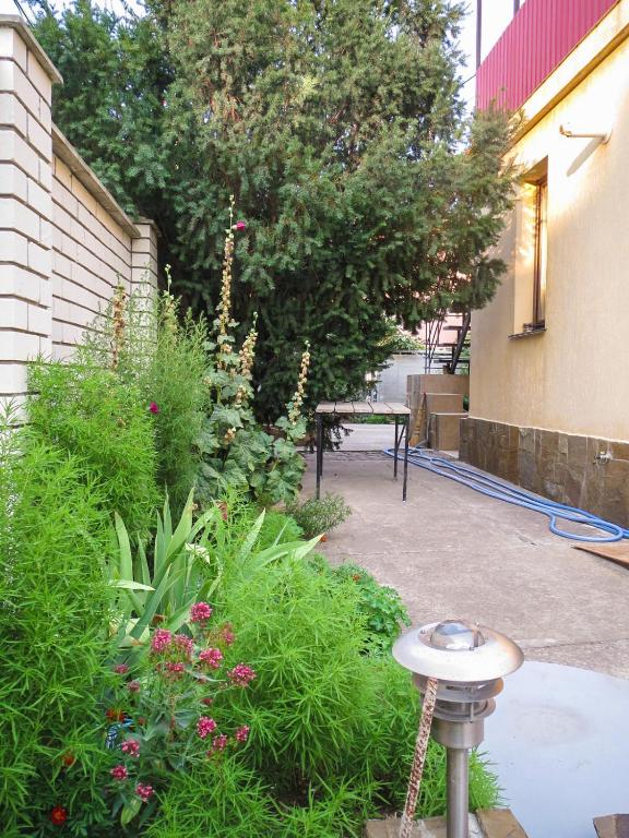 photo5