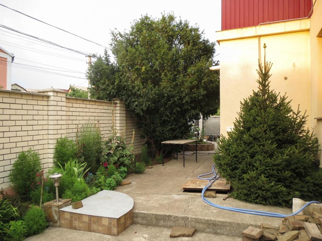 photo6