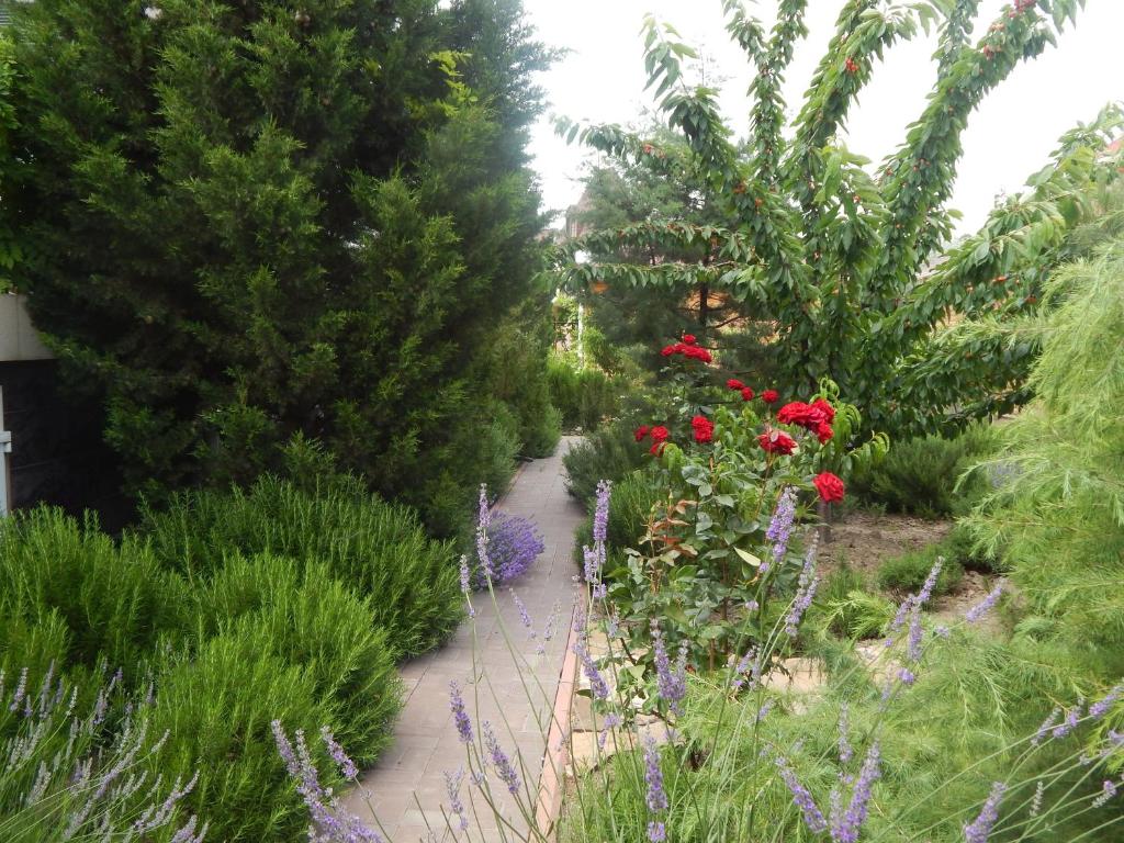 photo1