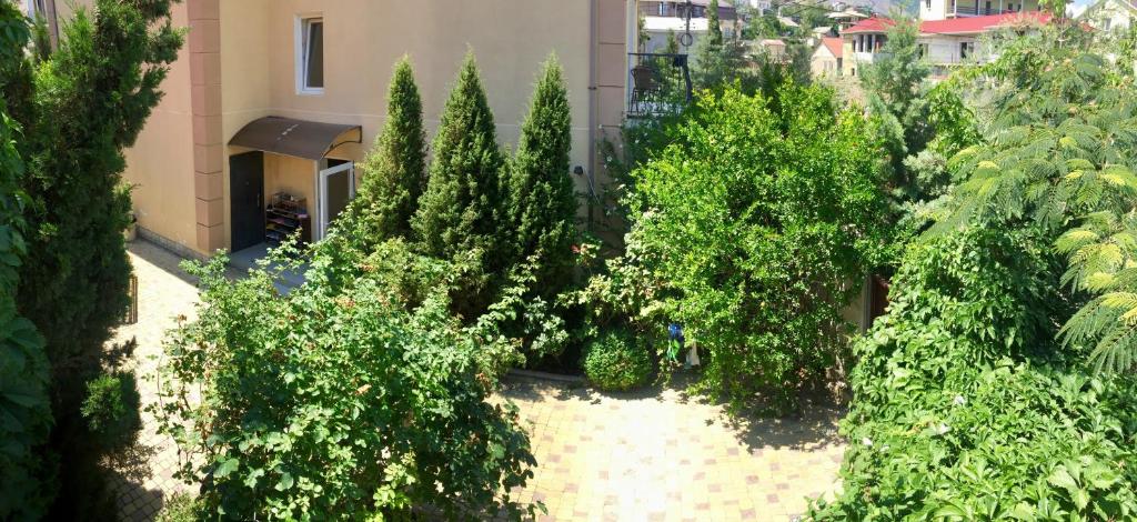 photo1