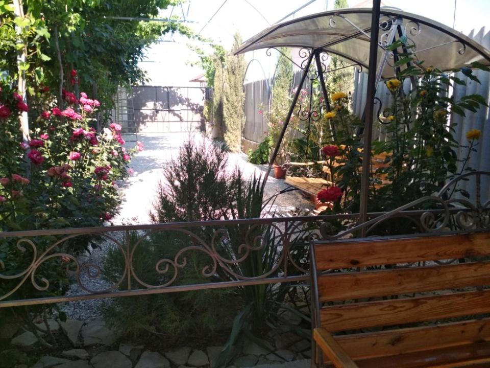 photo3