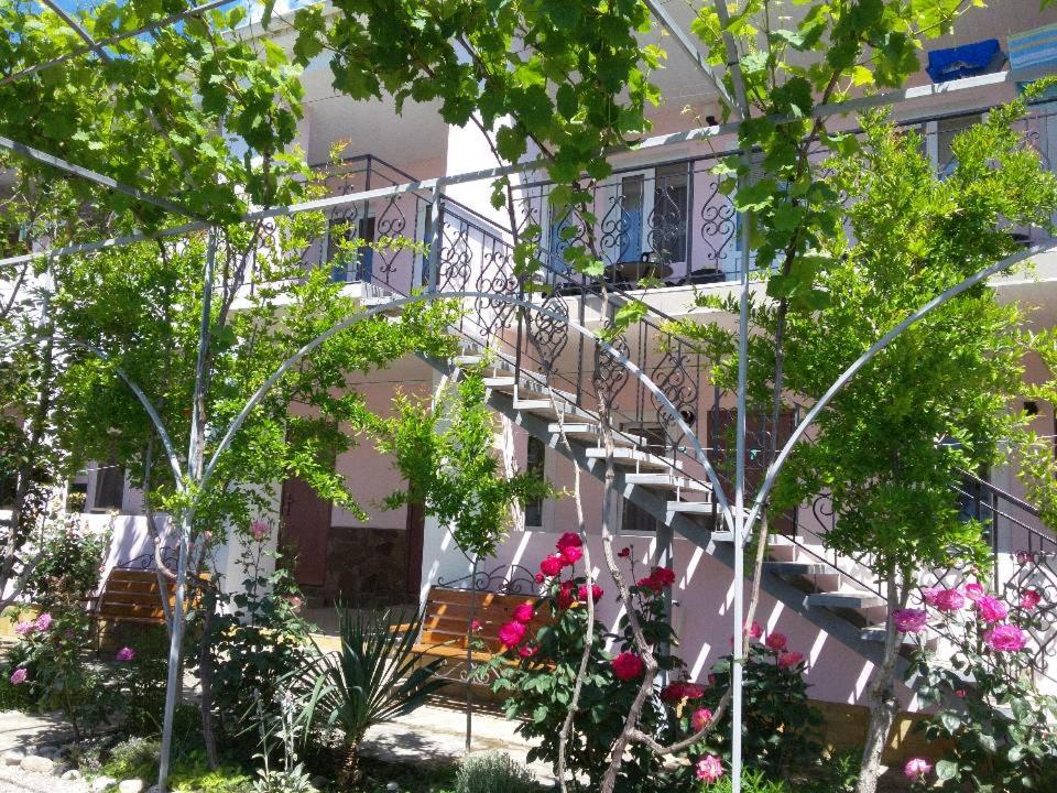 photo6