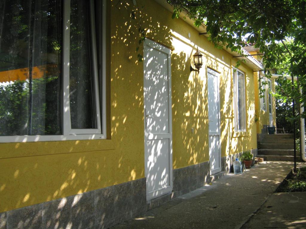 photo1