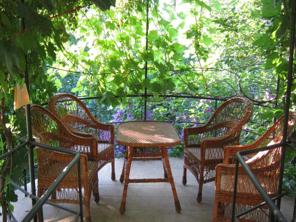 photo3
