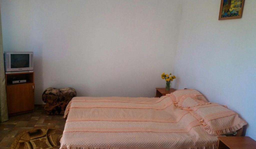 photo6