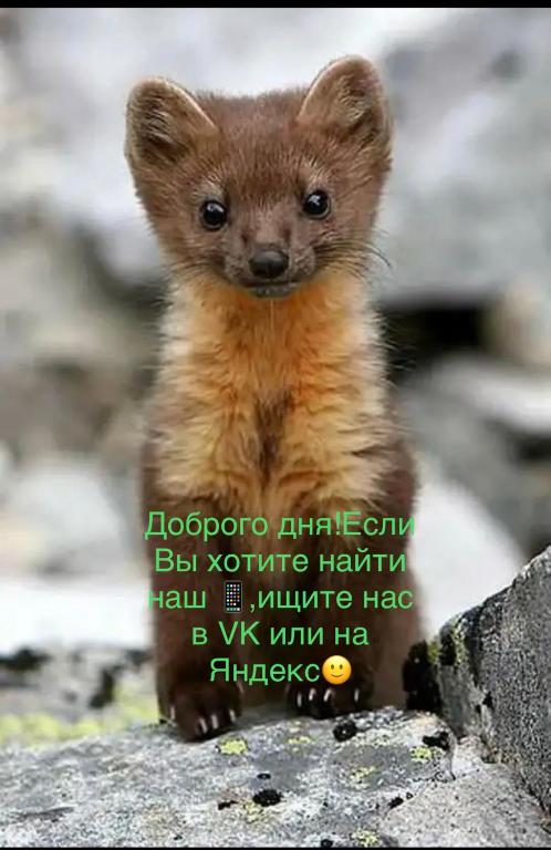 photo1