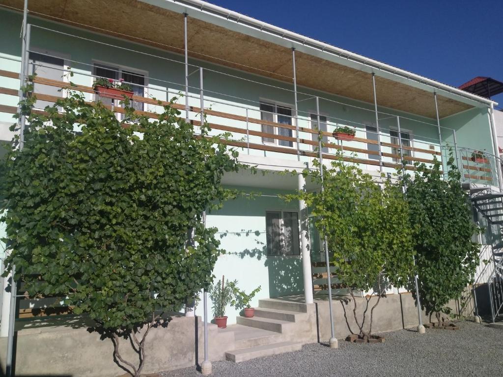 photo1