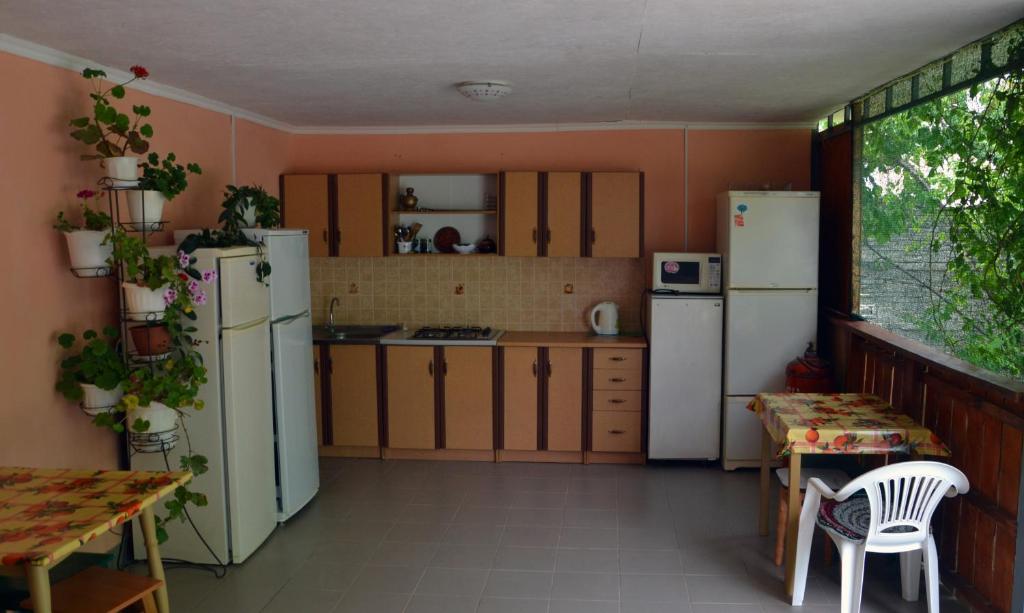 photo2
