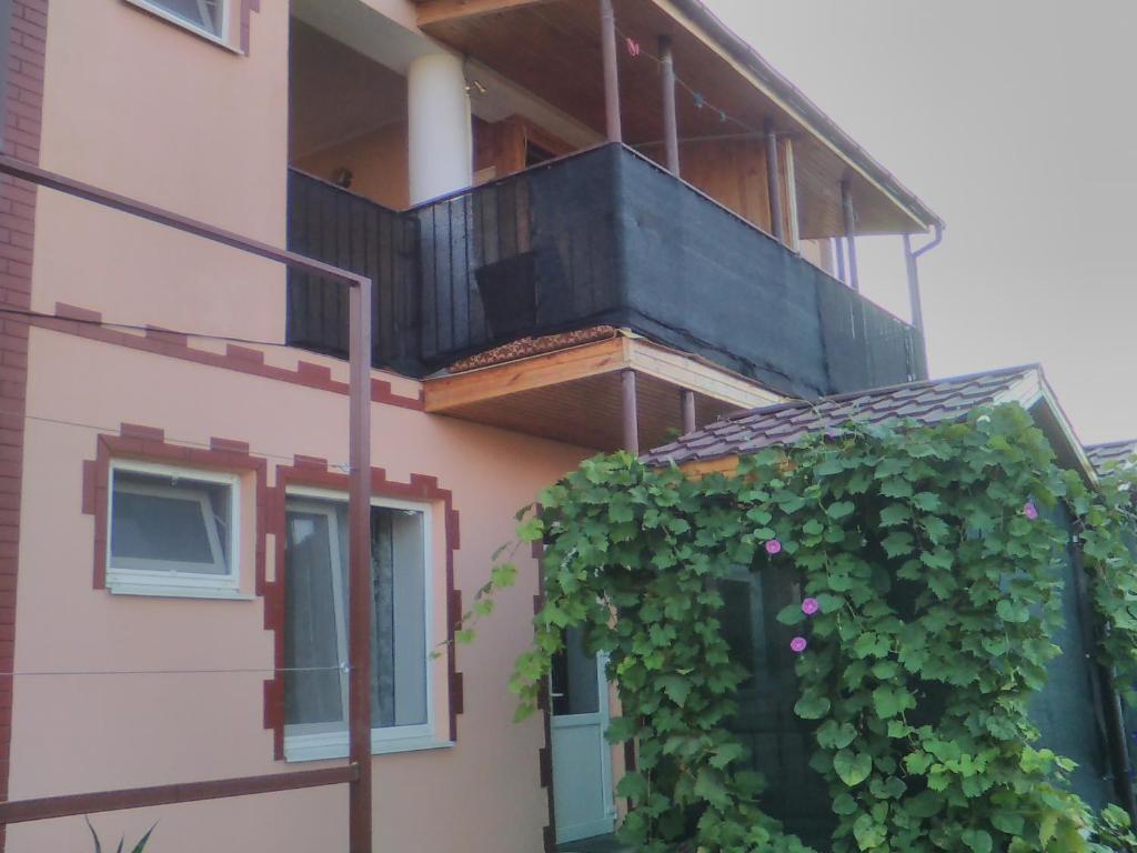 photo2