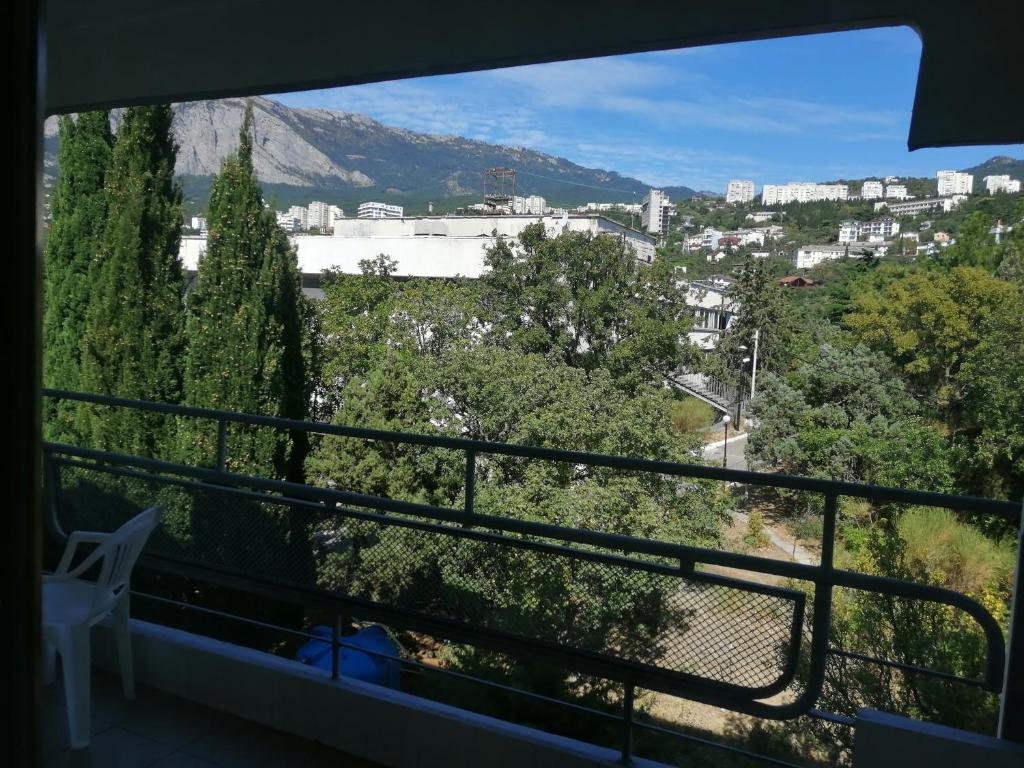 photo5
