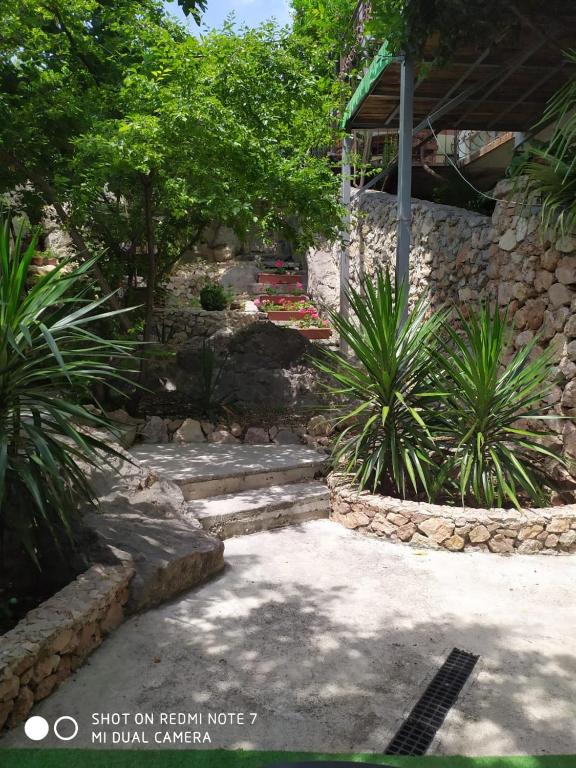photo1
