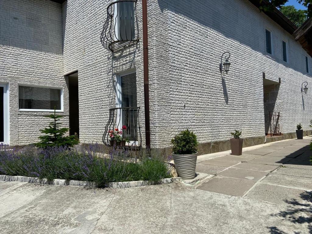 photo6
