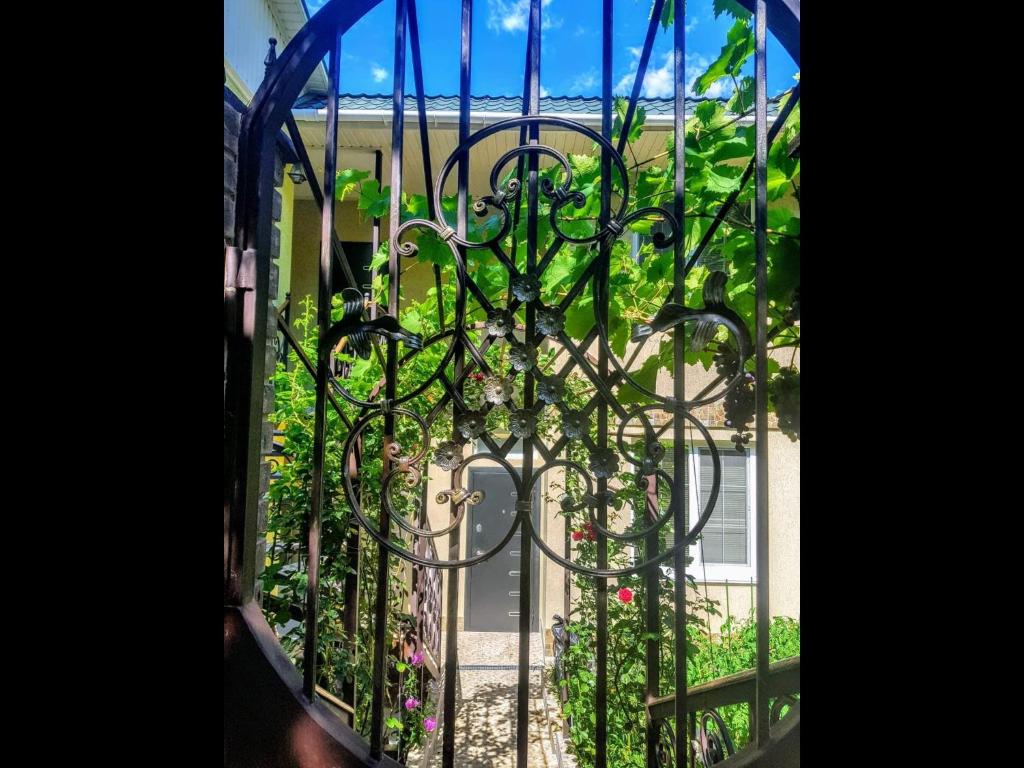 photo2