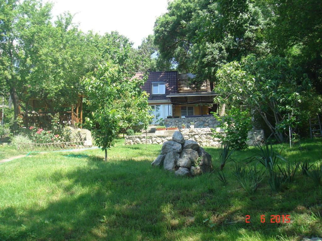 photo5